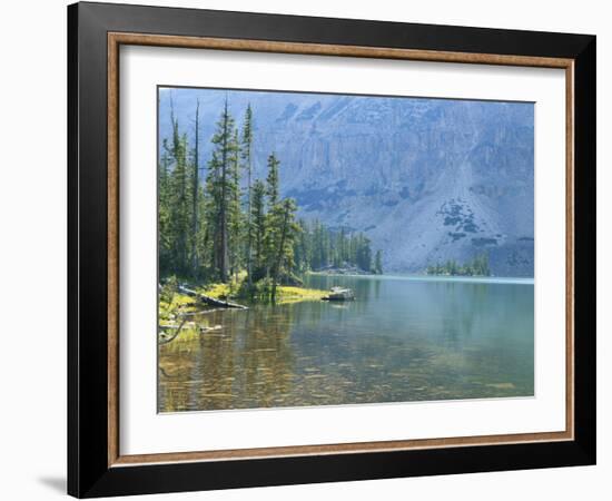 Lake and Conifers Below Cliffs, Brown Duck Mountain, High Uintas Wilderness, Ashley National Forest-Scott T^ Smith-Framed Photographic Print