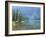 Lake and Conifers Below Cliffs, Brown Duck Mountain, High Uintas Wilderness, Ashley National Forest-Scott T^ Smith-Framed Photographic Print