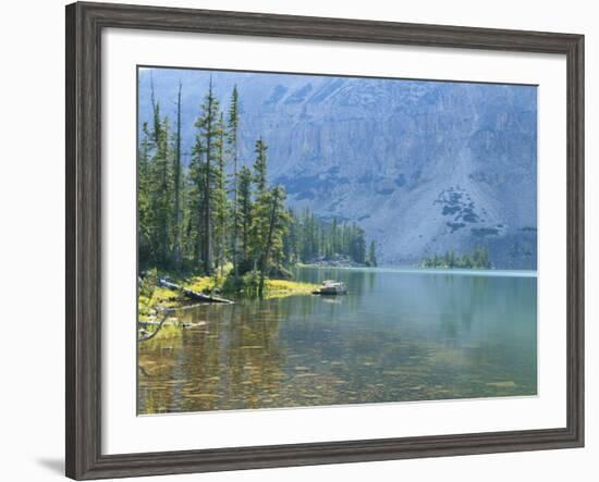 Lake and Conifers Below Cliffs, Brown Duck Mountain, High Uintas Wilderness, Ashley National Forest-Scott T^ Smith-Framed Photographic Print