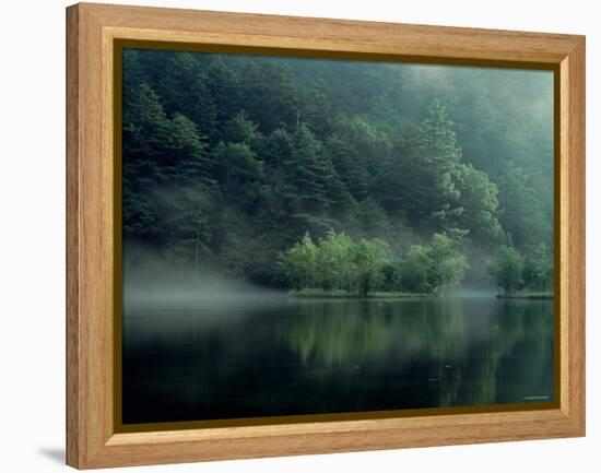 Lake and Forest-null-Framed Premier Image Canvas