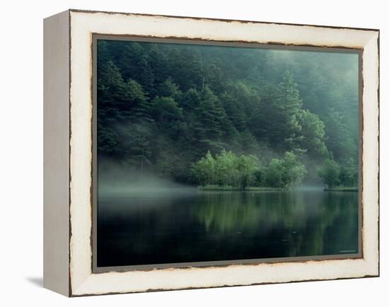 Lake and Forest-null-Framed Premier Image Canvas