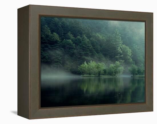 Lake and Forest-null-Framed Premier Image Canvas