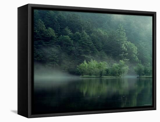 Lake and Forest-null-Framed Premier Image Canvas