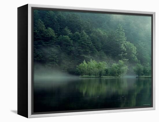 Lake and Forest-null-Framed Premier Image Canvas