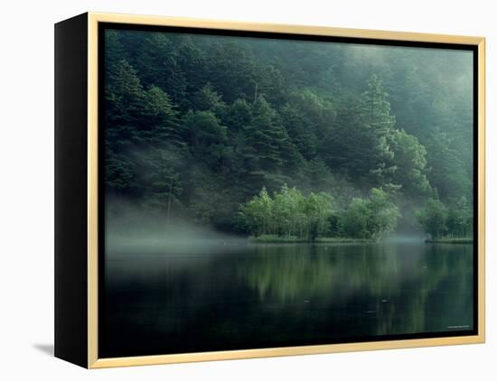 Lake and Forest-null-Framed Premier Image Canvas