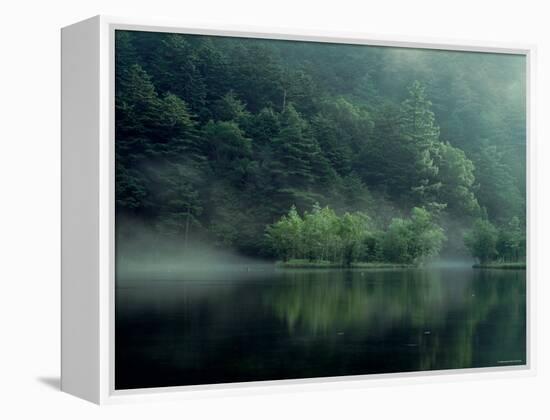 Lake and Forest-null-Framed Premier Image Canvas