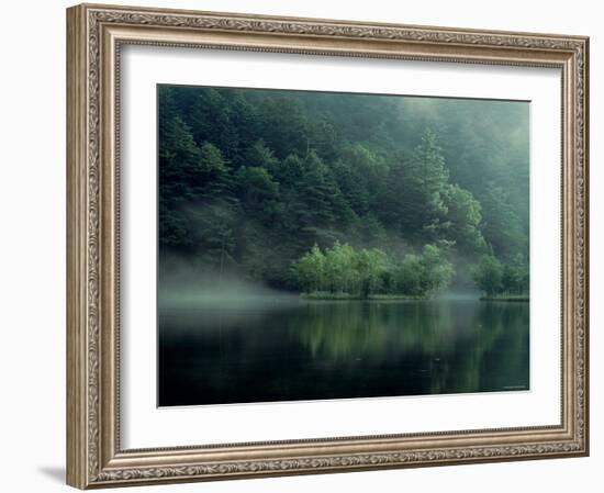 Lake and Forest-null-Framed Photographic Print