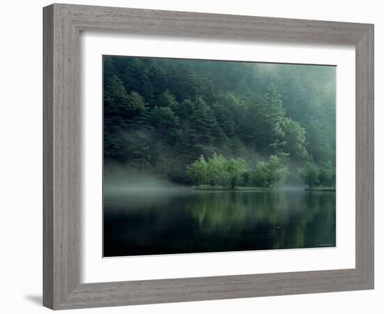 Lake and Forest-null-Framed Photographic Print