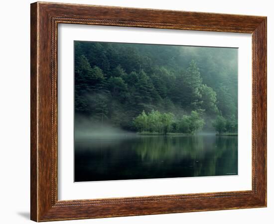 Lake and Forest-null-Framed Photographic Print