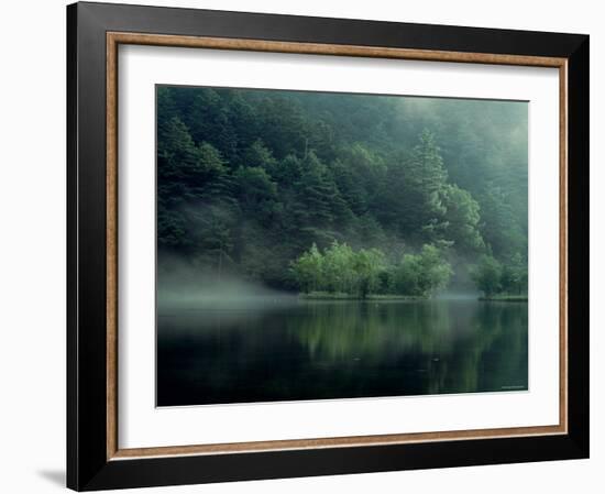 Lake and Forest-null-Framed Photographic Print