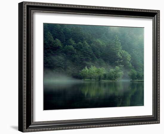 Lake and Forest-null-Framed Photographic Print