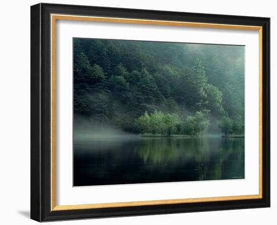 Lake and Forest-null-Framed Photographic Print