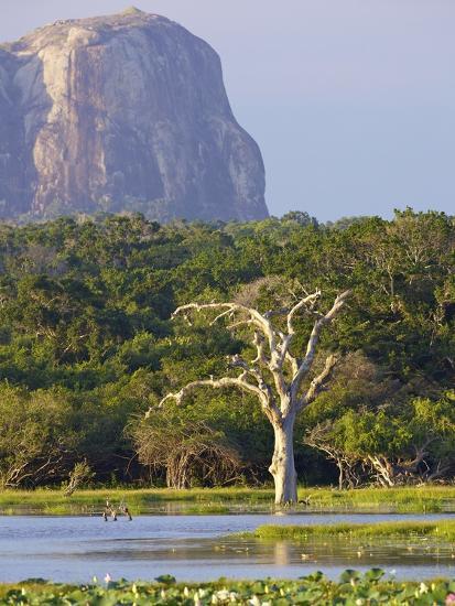 Lake And View Of Elephant Rock In Late Afternoon Yala National Park Sri Lanka Asia Photographic Print Peter Barritt Art Com