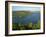 Lake and Wooded Hills in Krka National Park, Croatia, Europe-Ken Gillham-Framed Photographic Print