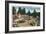 Lake Arrowhead, California - General View of the Village, c.1949-Lantern Press-Framed Art Print