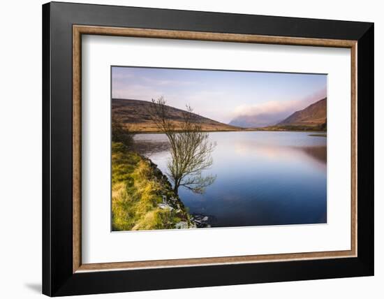 Lake at sunrise near the foot of Snowdon, Snowdonia National Park, North Wales, United Kingdom-Matthew Williams-Ellis-Framed Photographic Print