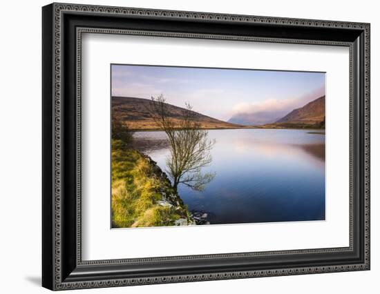 Lake at sunrise near the foot of Snowdon, Snowdonia National Park, North Wales, United Kingdom-Matthew Williams-Ellis-Framed Photographic Print