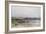 Lake Balaton with the Shore of Akarattya, 1885-Geza Meszoly-Framed Giclee Print