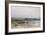 Lake Balaton with the Shore of Akarattya, 1885-Geza Meszoly-Framed Giclee Print