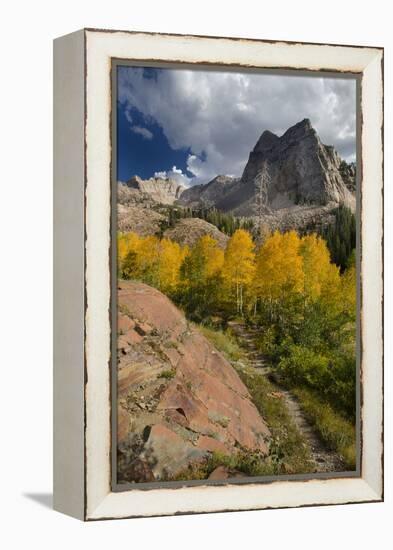 Lake Blanche Trail in Fall Foliage, Sundial Peak, Utah-Howie Garber-Framed Premier Image Canvas