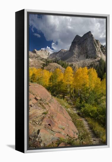 Lake Blanche Trail in Fall Foliage, Sundial Peak, Utah-Howie Garber-Framed Premier Image Canvas