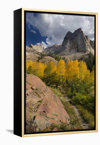 Lake Blanche Trail in Fall Foliage, Sundial Peak, Utah-Howie Garber-Framed Premier Image Canvas