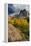 Lake Blanche Trail in Fall Foliage, Sundial Peak, Utah-Howie Garber-Framed Premier Image Canvas