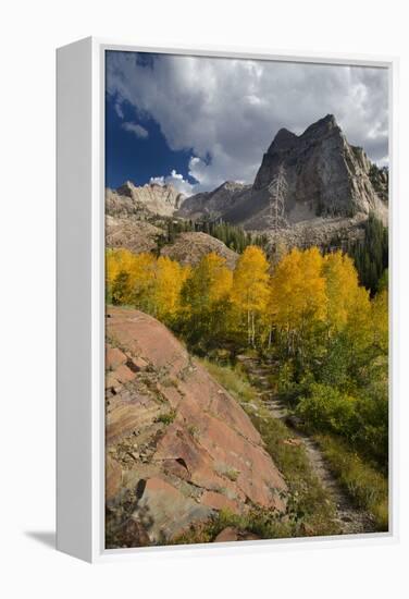 Lake Blanche Trail in Fall Foliage, Sundial Peak, Utah-Howie Garber-Framed Premier Image Canvas