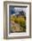 Lake Blanche Trail in Fall Foliage, Sundial Peak, Utah-Howie Garber-Framed Photographic Print