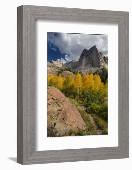 Lake Blanche Trail in Fall Foliage, Sundial Peak, Utah-Howie Garber-Framed Photographic Print