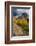 Lake Blanche Trail in Fall Foliage, Sundial Peak, Utah-Howie Garber-Framed Photographic Print