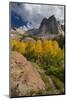 Lake Blanche Trail in Fall Foliage, Sundial Peak, Utah-Howie Garber-Mounted Photographic Print