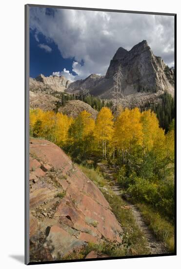 Lake Blanche Trail in Fall Foliage, Sundial Peak, Utah-Howie Garber-Mounted Photographic Print