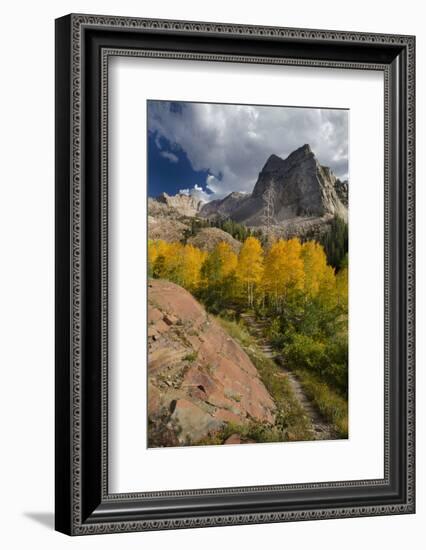 Lake Blanche Trail in Fall Foliage, Sundial Peak, Utah-Howie Garber-Framed Photographic Print