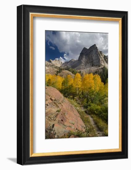 Lake Blanche Trail in Fall Foliage, Sundial Peak, Utah-Howie Garber-Framed Photographic Print