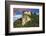 Lake Bled Castle rises on cliffs above Lake Bled, Slovenia at sunset-Miva Stock-Framed Photographic Print