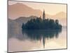 Lake Bled, Gorenjska, Slovenia-Peter Adams-Mounted Photographic Print