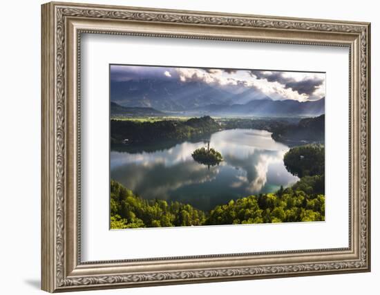 Lake Bled Reflections at Sunrise, Julian Alps, Gorenjska, Slovenia, Europe-Matthew Williams-Ellis-Framed Photographic Print