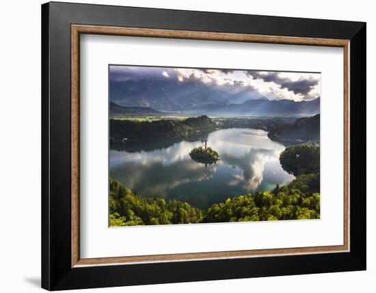 Lake Bled Reflections at Sunrise, Julian Alps, Gorenjska, Slovenia, Europe-Matthew Williams-Ellis-Framed Photographic Print