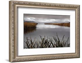 Lake Calm-David Lorenz Winston-Framed Art Print