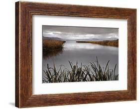Lake Calm-David Lorenz Winston-Framed Art Print