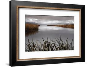 Lake Calm-David Lorenz Winston-Framed Art Print