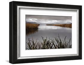 Lake Calm-David Lorenz Winston-Framed Art Print