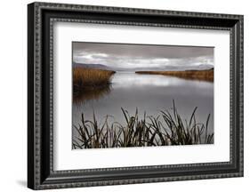 Lake Calm-David Lorenz Winston-Framed Art Print