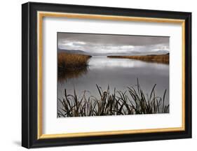 Lake Calm-David Lorenz Winston-Framed Art Print