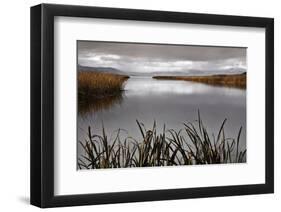 Lake Calm-David Lorenz Winston-Framed Art Print