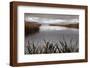 Lake Calm-David Lorenz Winston-Framed Art Print