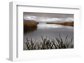 Lake Calm-David Lorenz Winston-Framed Art Print
