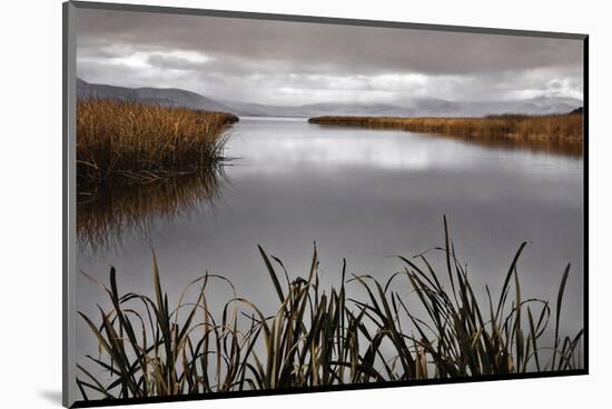 Lake Calm-David Lorenz Winston-Mounted Art Print