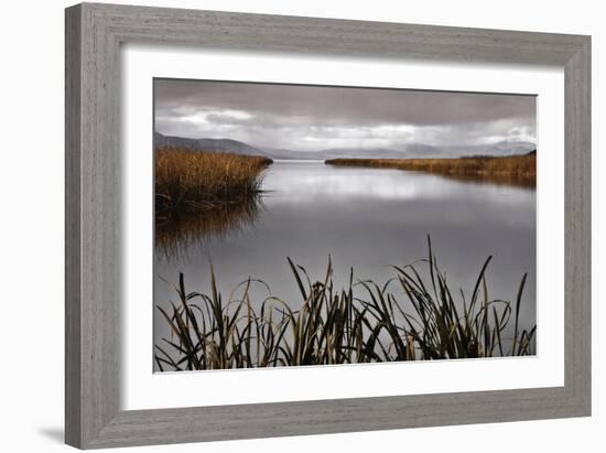 Lake Calm-David Lorenz Winston-Framed Art Print